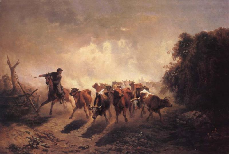 unknow artist Union Drover with Cattle for the Army oil painting image